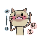 ねここ（個別スタンプ：12）