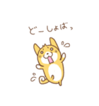 新潟弁の柴犬さん（個別スタンプ：12）