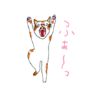 ねこだまり いろいろねこたち（個別スタンプ：4）