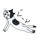ねこだまり いろいろねこたち（個別スタンプ：8）