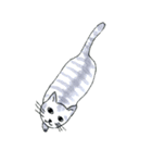 ねこだまり いろいろねこたち（個別スタンプ：25）