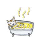 ねこだまり いろいろねこたち（個別スタンプ：37）
