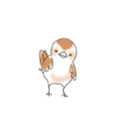 ほんわか動物（個別スタンプ：9）