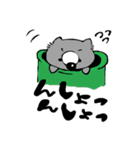 ウォンバット（個別スタンプ：35）