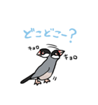桜文鳥チャッピー第二弾（個別スタンプ：22）