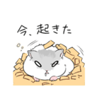 我が家の愛ハム（個別スタンプ：1）