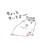 我が家の愛ハム（個別スタンプ：23）