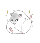 我が家の愛ハム（個別スタンプ：29）