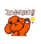 かわいいワンコ（トイ・プードル）と一緒♥（個別スタンプ：2）