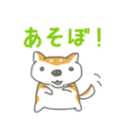 柴犬シバタロの日常（個別スタンプ：31）