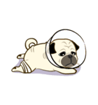 Ball loves or hates collection（個別スタンプ：35）