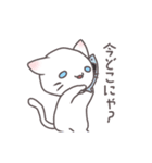 にゃーにゃーにゃんこ（個別スタンプ：20）