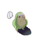 いんこときもち♪（個別スタンプ：33）