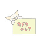 でぶちわ（個別スタンプ：17）