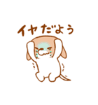 元気わんこももちゃん（個別スタンプ：31）