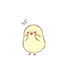 ひよこの毎日（個別スタンプ：11）