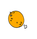 ハムみかん（個別スタンプ：4）