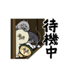 ネコ会議（個別スタンプ：11）