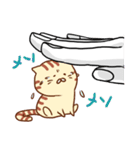 手乗りにゃんこ（個別スタンプ：24）