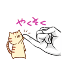 手乗りにゃんこ（個別スタンプ：35）