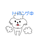 シーズーこはなちゃん！（個別スタンプ：3）