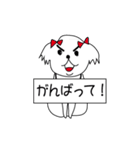 シーズーこはなちゃん！（個別スタンプ：18）