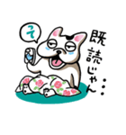 Noriko's Wakuwaku Life.（個別スタンプ：39）