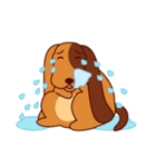 Lucky - the cute puppy dog - (EN)（個別スタンプ：15）