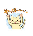 みろろんのにゃんこスタンプ（個別スタンプ：25）