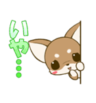 チワワたん2（個別スタンプ：16）