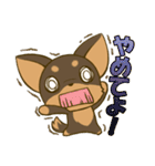 チワワたん2（個別スタンプ：35）