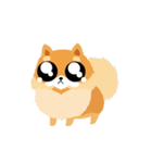 17 PomPom Dog（個別スタンプ：4）