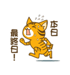 一攫千金！宝くじにゃんこ（個別スタンプ：15）