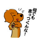 江戸っ子ダックス（個別スタンプ：3）