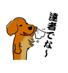 江戸っ子ダックス（個別スタンプ：5）