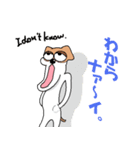 ジャックラッセル  ギャル語編（個別スタンプ：37）