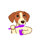 cute beagle dogs（個別スタンプ：22）