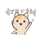 ライブ大好き猫スタンプ（個別スタンプ：6）