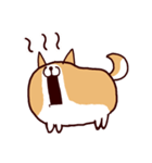 柴犬の「まるしば」（個別スタンプ：17）