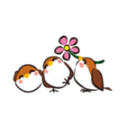 スズメヅメ（個別スタンプ：12）