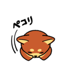 柴犬 やんちゃ犬（個別スタンプ：34）