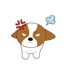 みんな大好きシーズー犬（個別スタンプ：5）