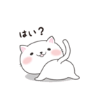 「？」にゃんこ（個別スタンプ：19）
