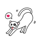 Normal Cat（個別スタンプ：6）