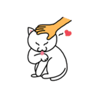 Normal Cat（個別スタンプ：8）