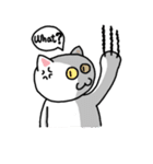 Normal Cat（個別スタンプ：16）