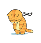 Tong Fat cat（個別スタンプ：4）