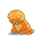Tong Fat cat（個別スタンプ：5）