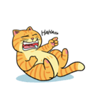 Tong Fat cat（個別スタンプ：13）