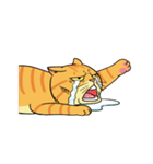 Tong Fat cat（個別スタンプ：17）